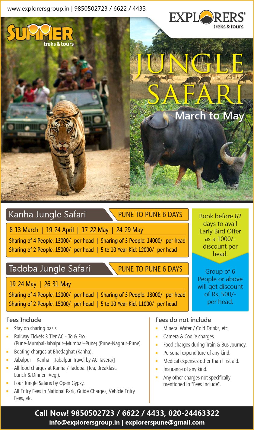 Jungle Safari